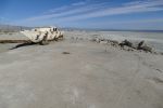 PICTURES/Salton Sea/t_P1000531.JPG